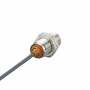 IFM Индуктивный датчик igs250 IFM Индуктивный датчик igs250